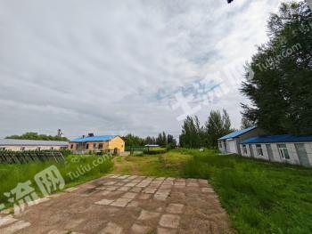 白城镇赉县 8538平方米 工业用地 使用权转让