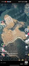 永州宁远县 59.59亩 其它林地 经营权出租
