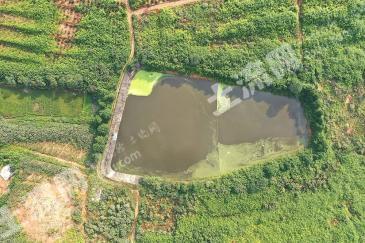 株洲攸县 500亩 水浇地 经营权出租