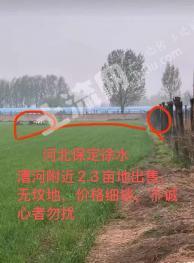 保定徐水区 2.3亩 水浇地 经营权出租