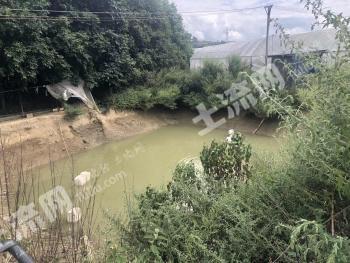 昆明宜良县 19亩 水浇地 经营权出租