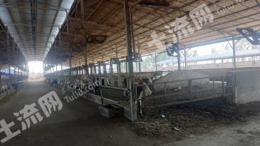 唐山滦南县 78.28亩 农场 使用权出租