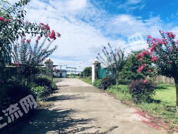 桂林恭城瑶族自治县 35亩 设施农用地 经营权转包