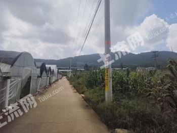 昆明西山区 79.19亩 水浇地 经营权出租