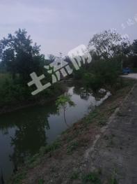 南通如皋市 61.5亩 其它林地 经营权转让