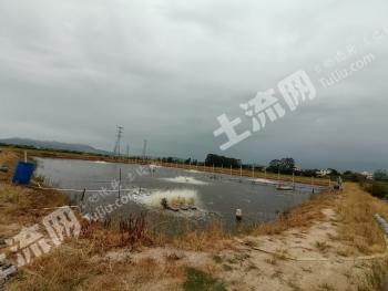 珠海斗门区 17.8亩 坑塘水面 经营权转让