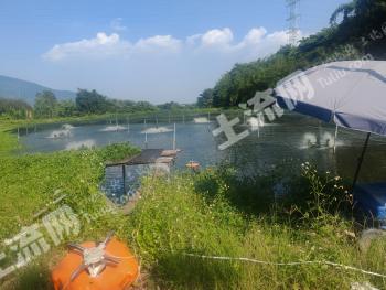 漳州芗城区 10亩 坑塘水面 经营权出租