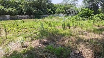 昆明石林彝族自治县 10522平方米 工业用地 使用权转让