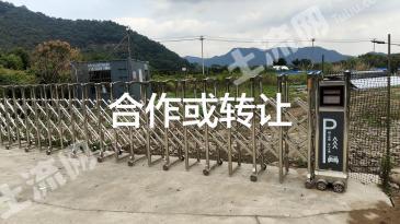 宁波海曙区 15亩 竹林地 经营权出租