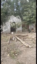 潍坊诸城市 4.45亩 天然牧草地 经营权出租