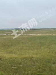 大庆杜尔伯特蒙古族自治县 11000亩 盐碱地 使用权出租