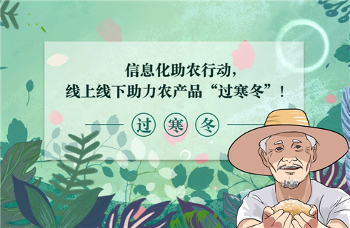 信息化助农行动，线上线下助力农产品&ldquo;过寒冬&rdquo;！