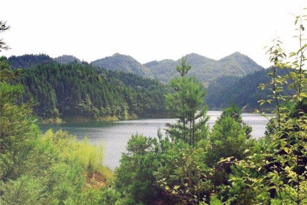 雷泽湖水库图片